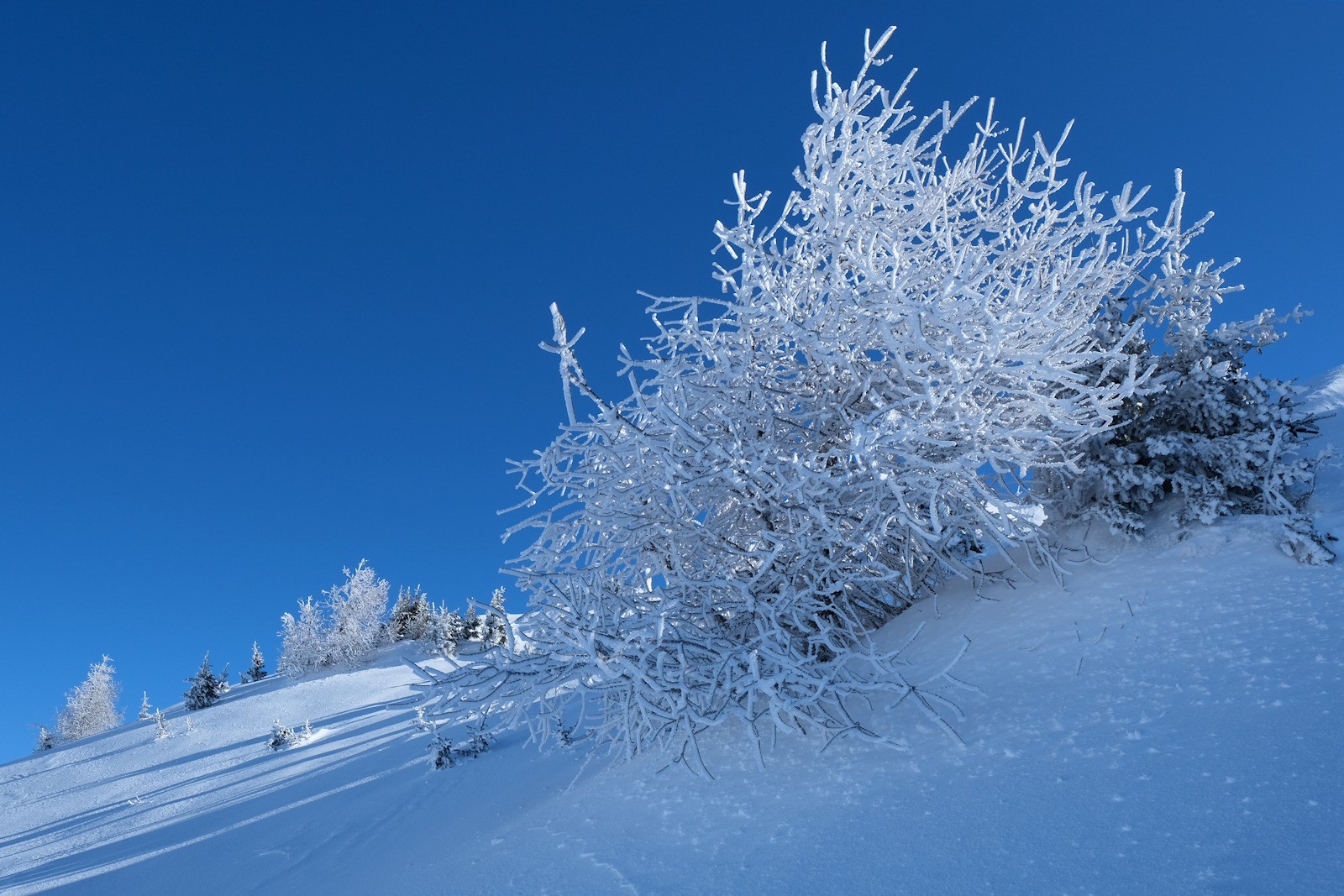 Les paysages se sont offerts des manteaux de neige et de givre.