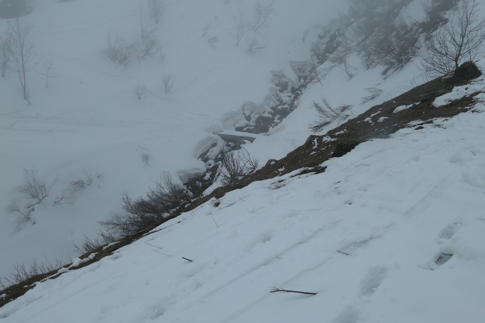 Plongée dans le brouillard