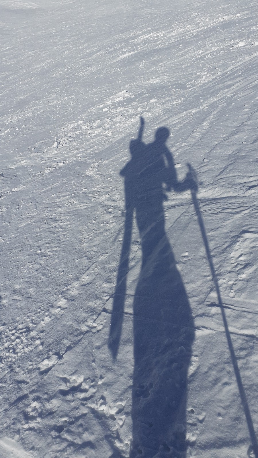 En ballade avec le ski orphelin