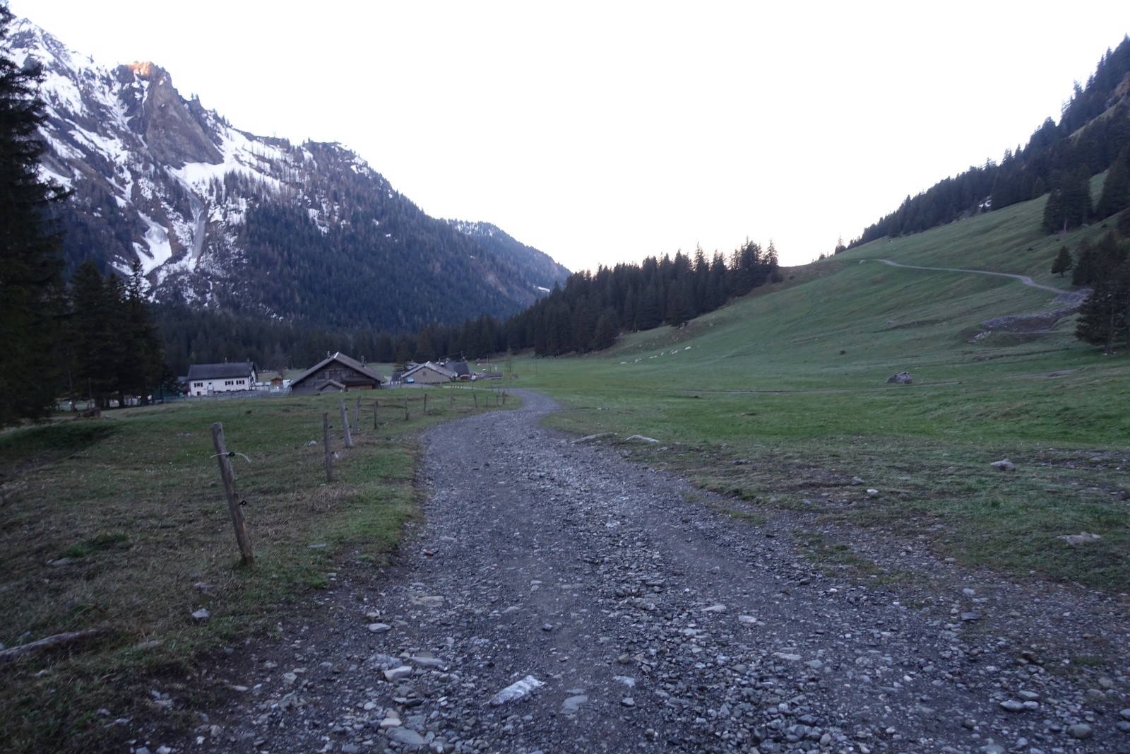 Alpage Suisse