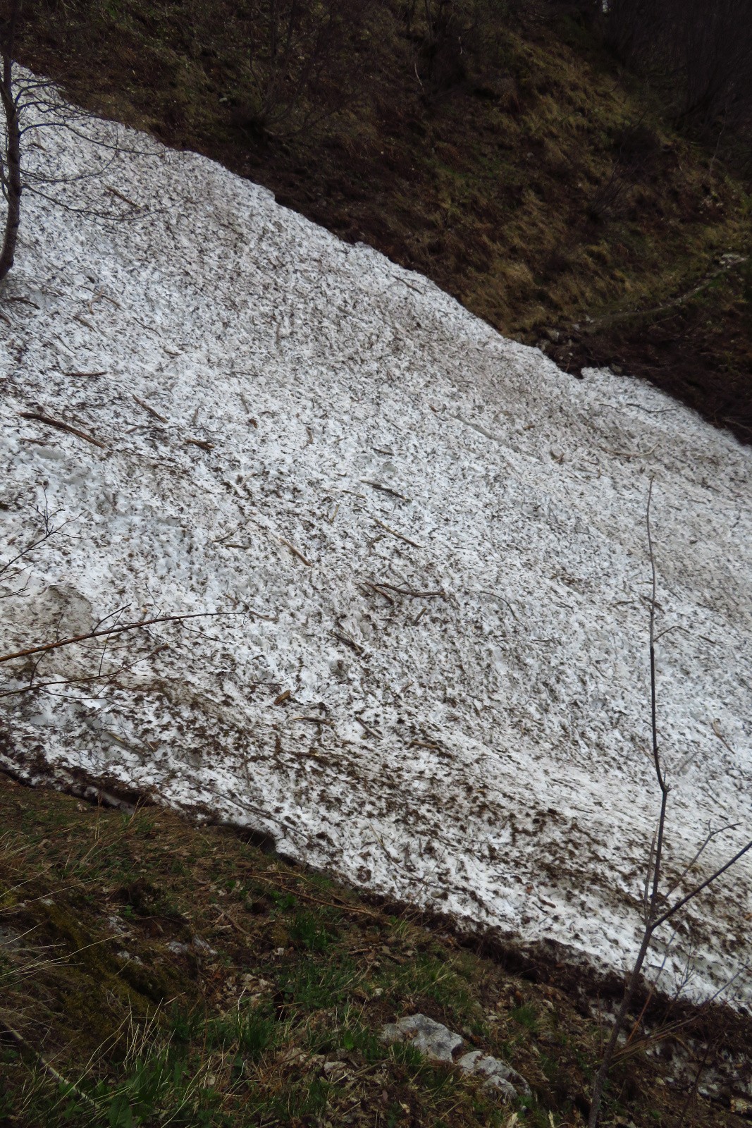 le culot d'avalanche du Ruisseau Perdu à traverser(l'autre - car il y en a 2 généralement - a fondu)