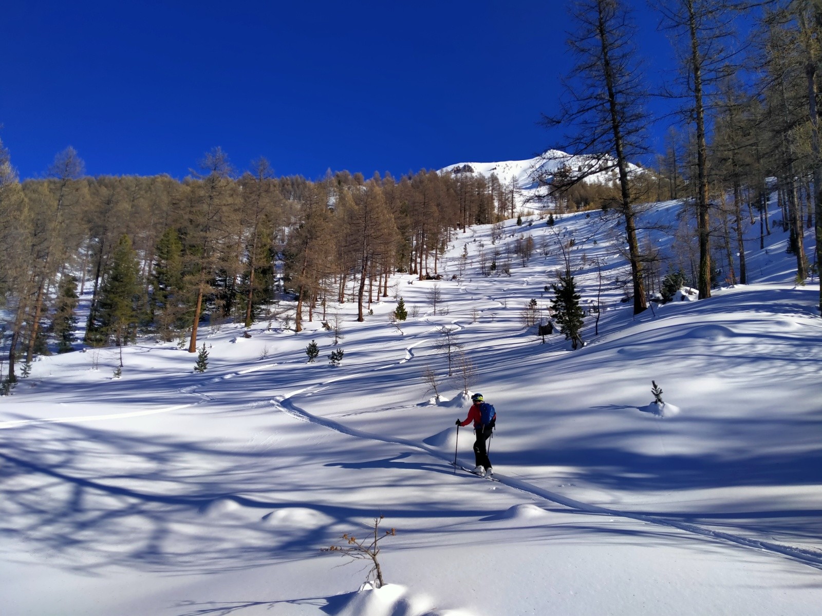  Clairière/ forêt clairsemée en bonne neige du point 2450 jusqu'à 2100
