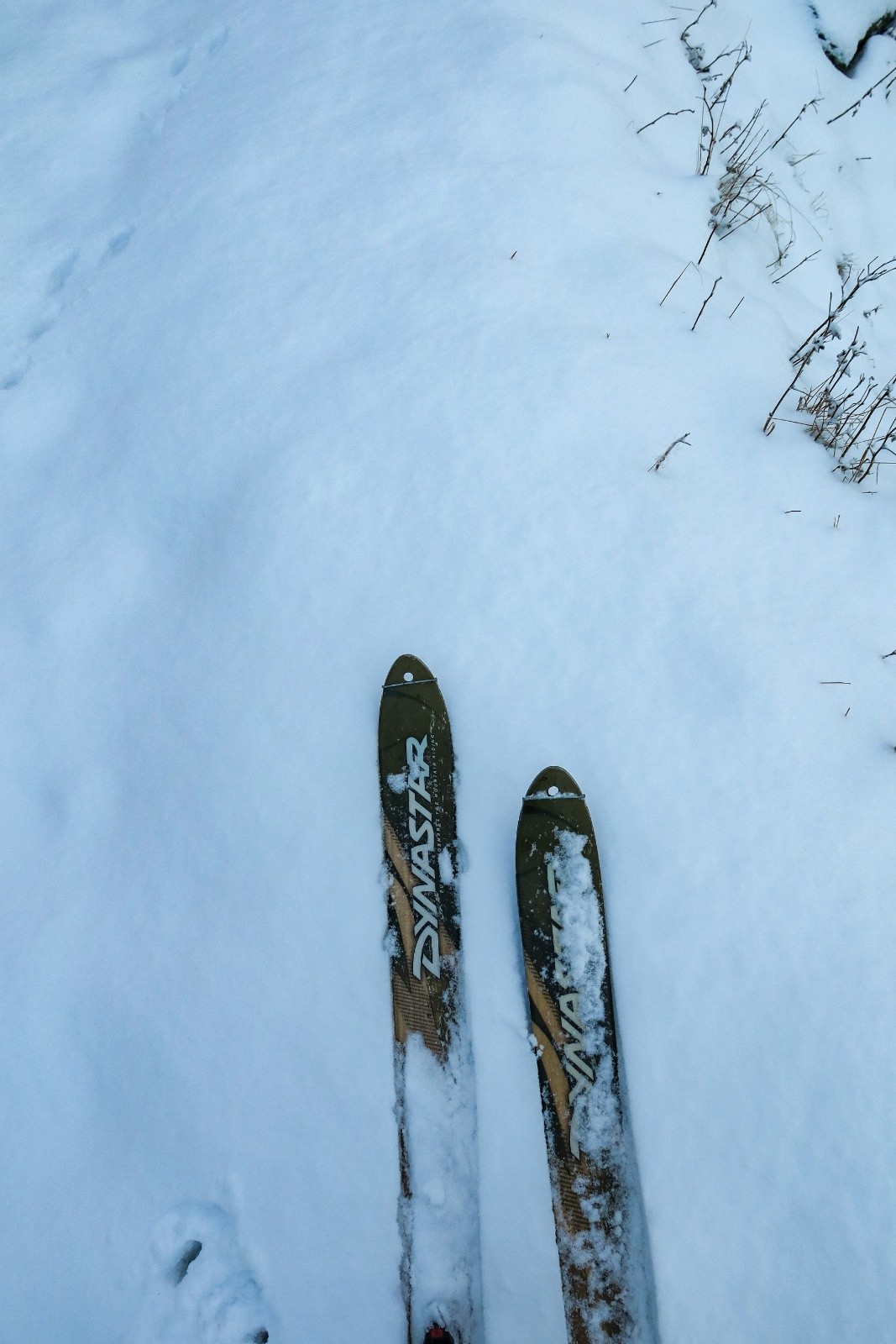 Les valeureux skis cailloux ! 