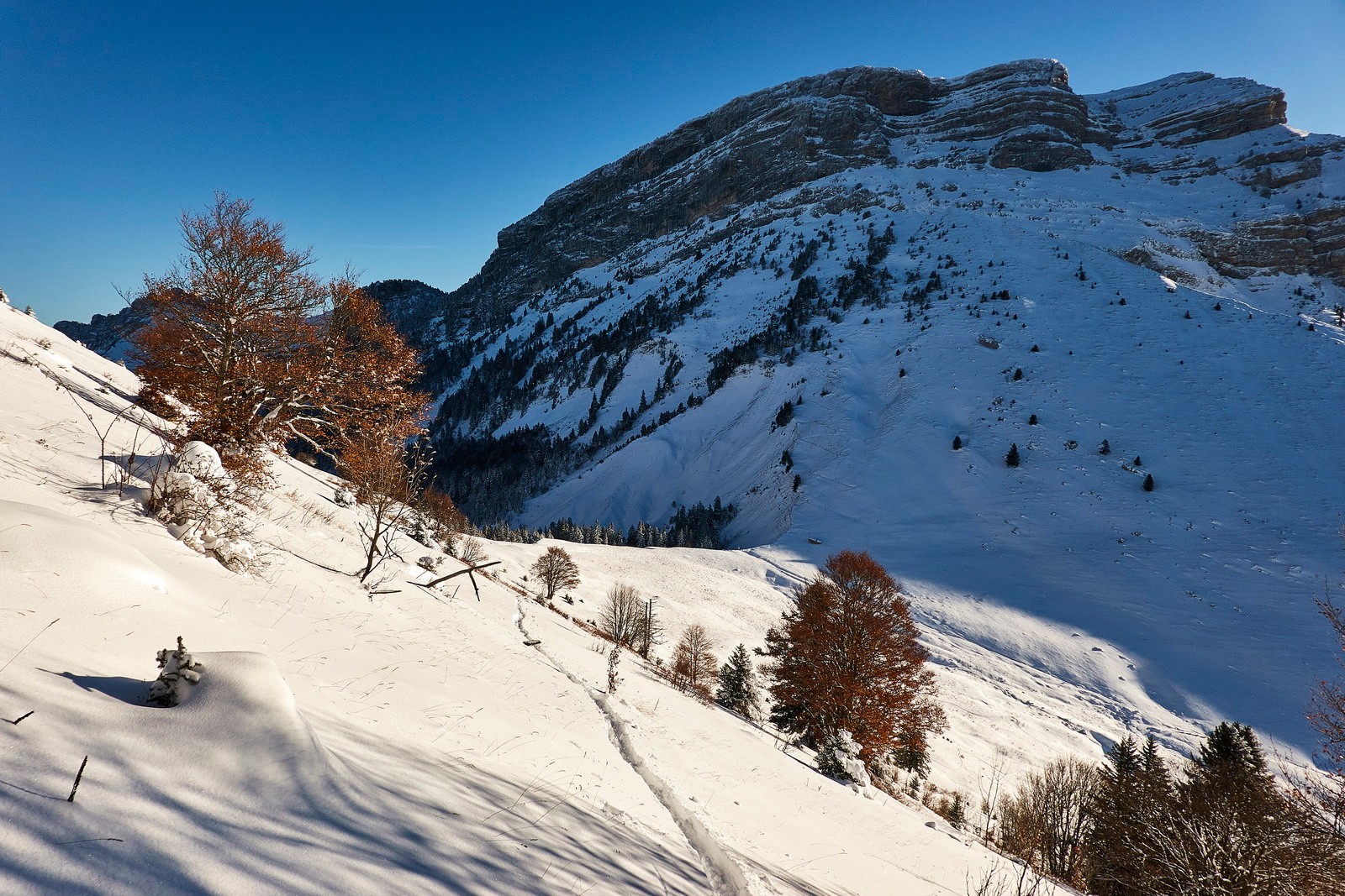 Le plaisir de faire la trace...