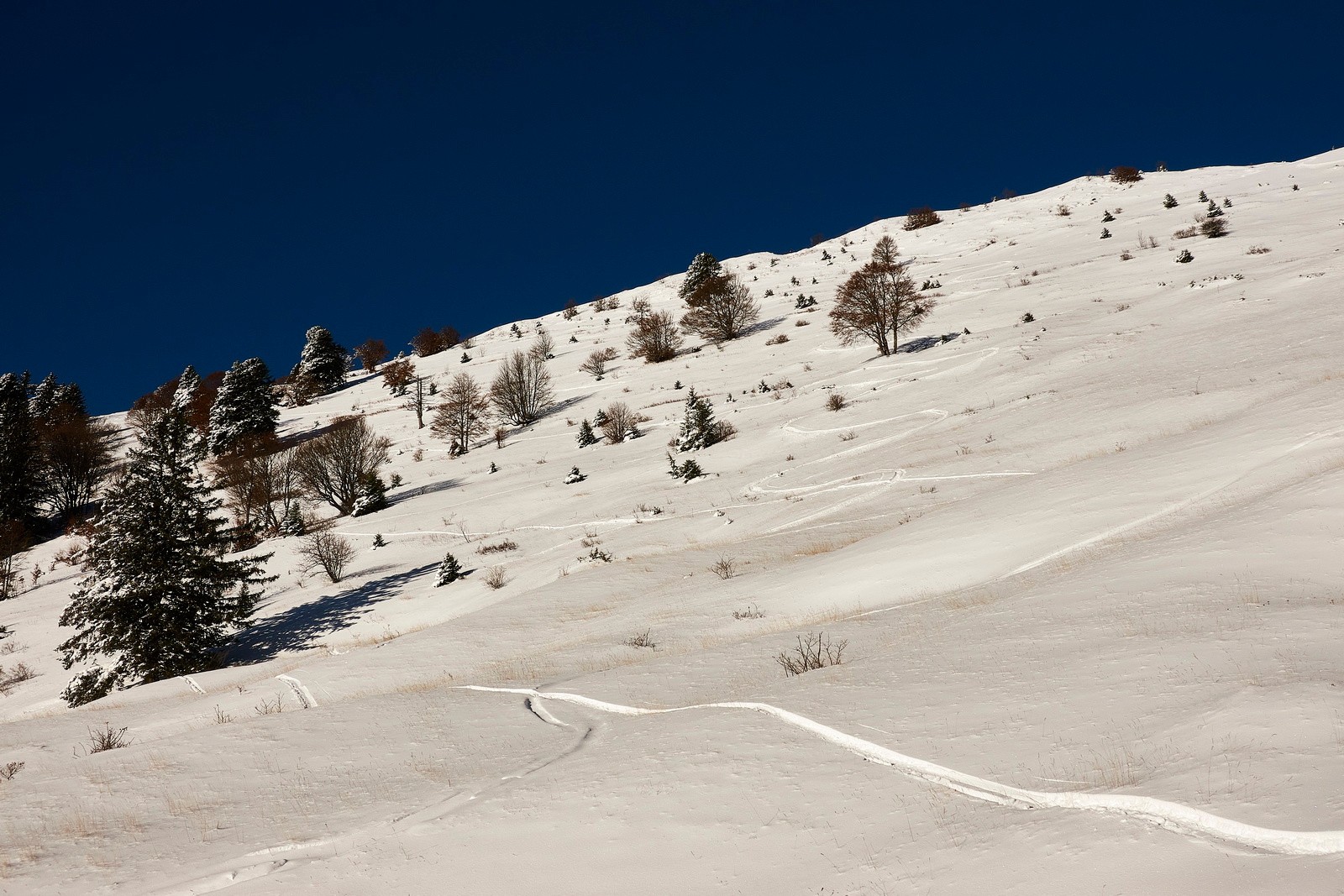 Peu de neige, mais descente plaisir quand même !!!