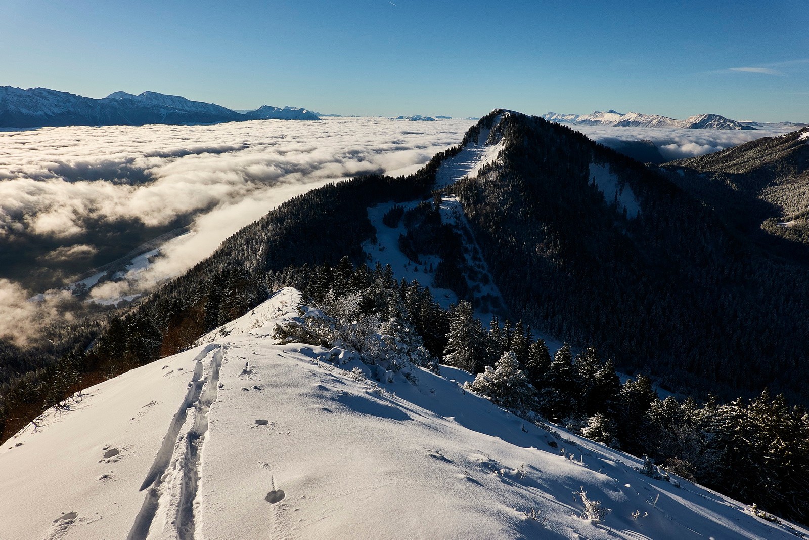 Au-dessus de la marée haute...