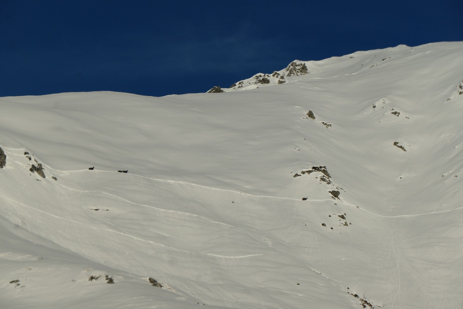 D'autres encore&nbsp; 