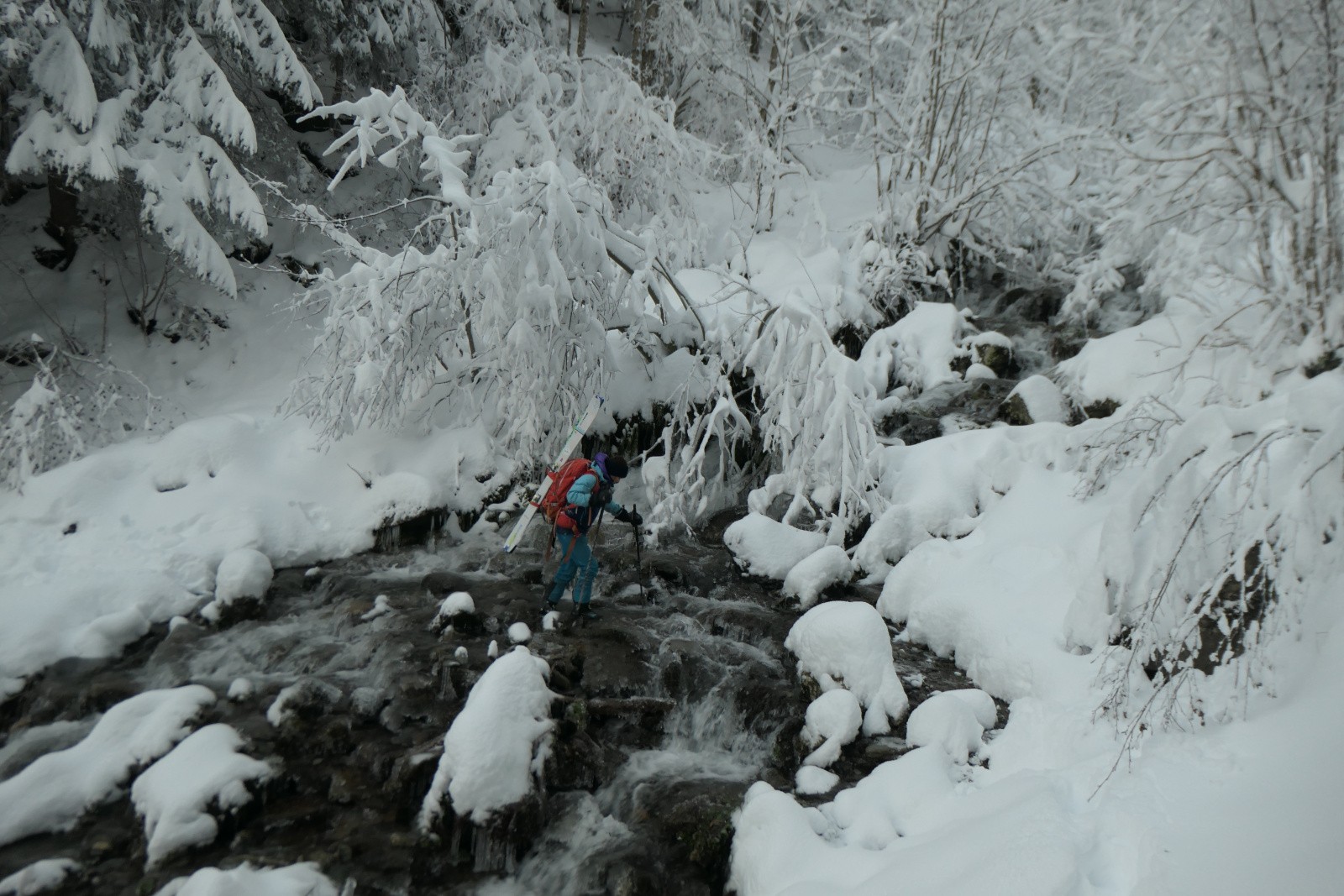 Le ruisseau matinale 