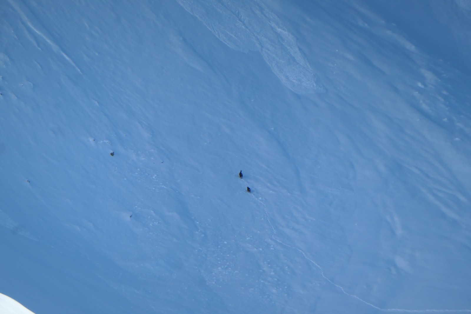 Ils ont l'air en difficulté !&nbsp; 