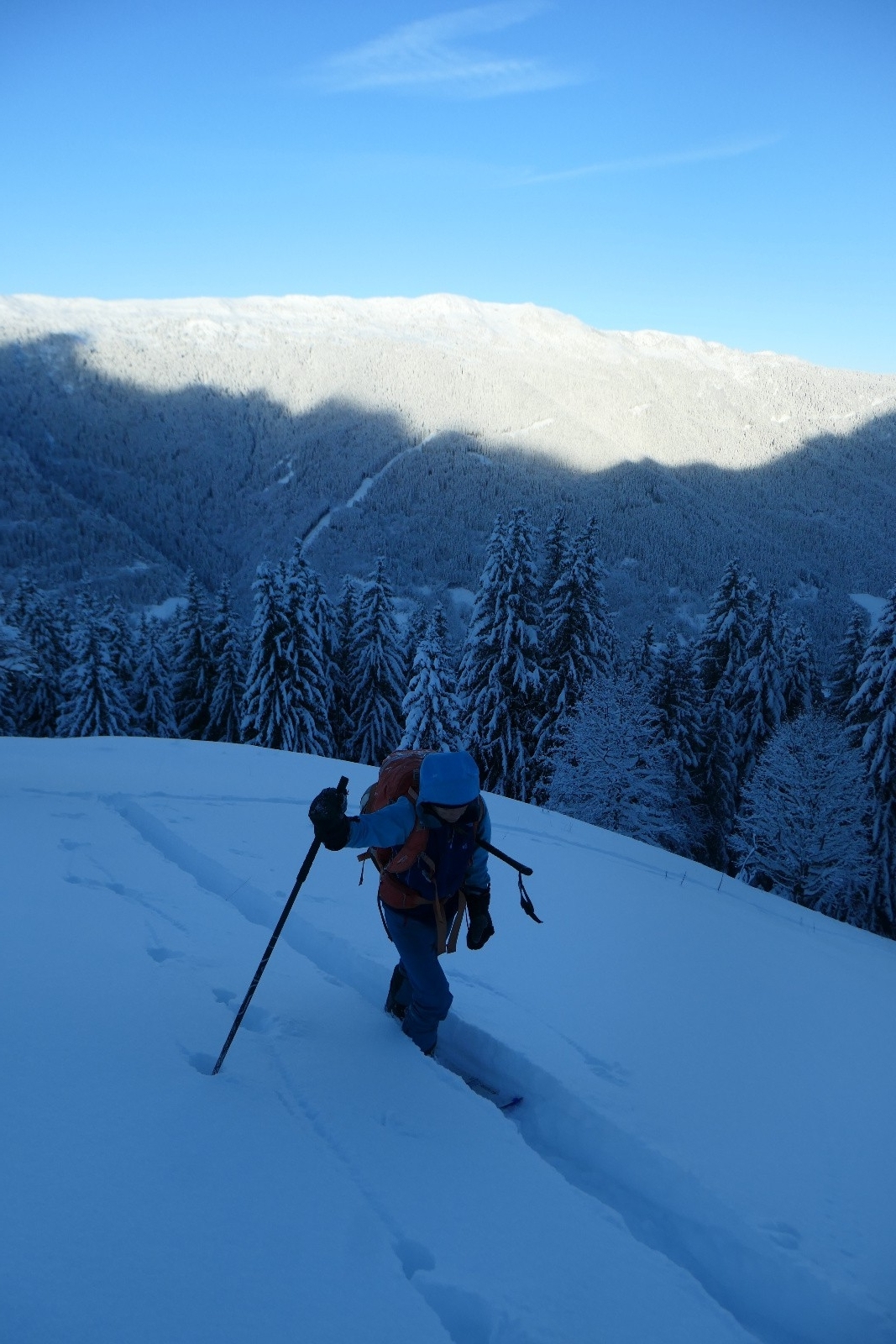 Au niveau de la bergerie 