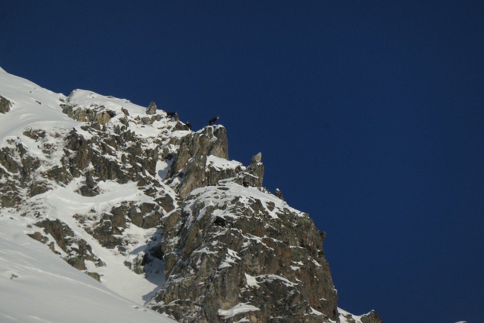 Nous sommes observés 