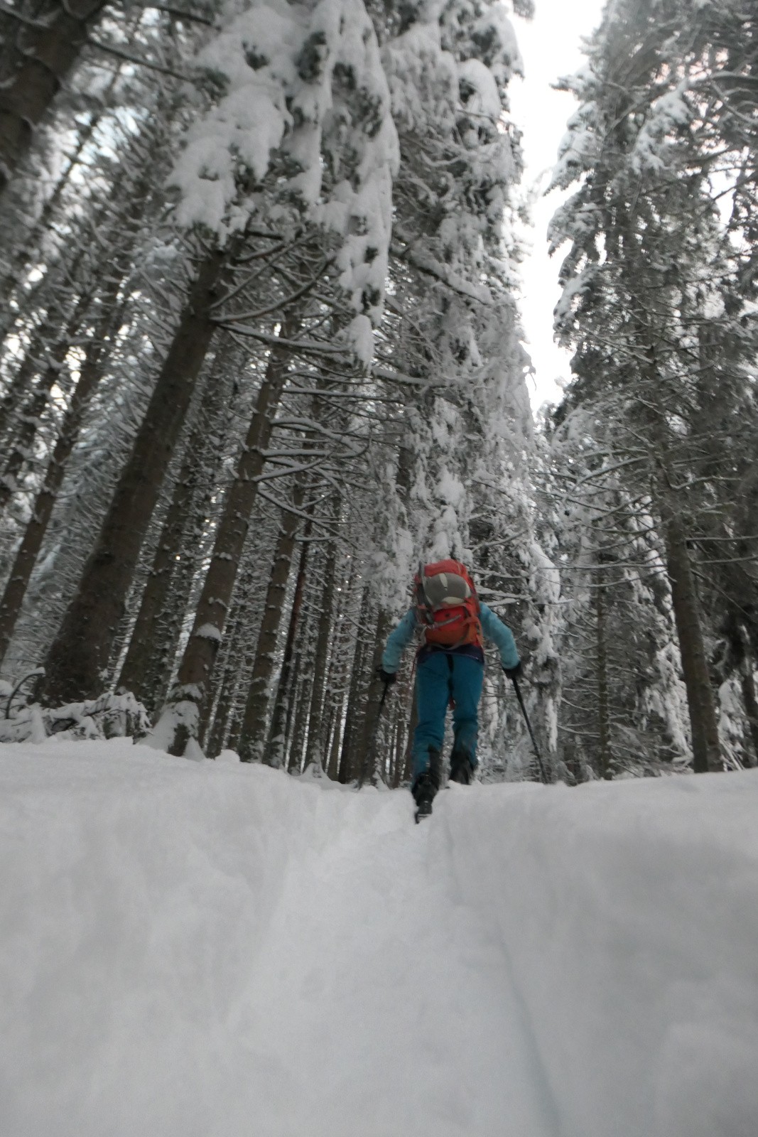 La trace est déjà profonde 