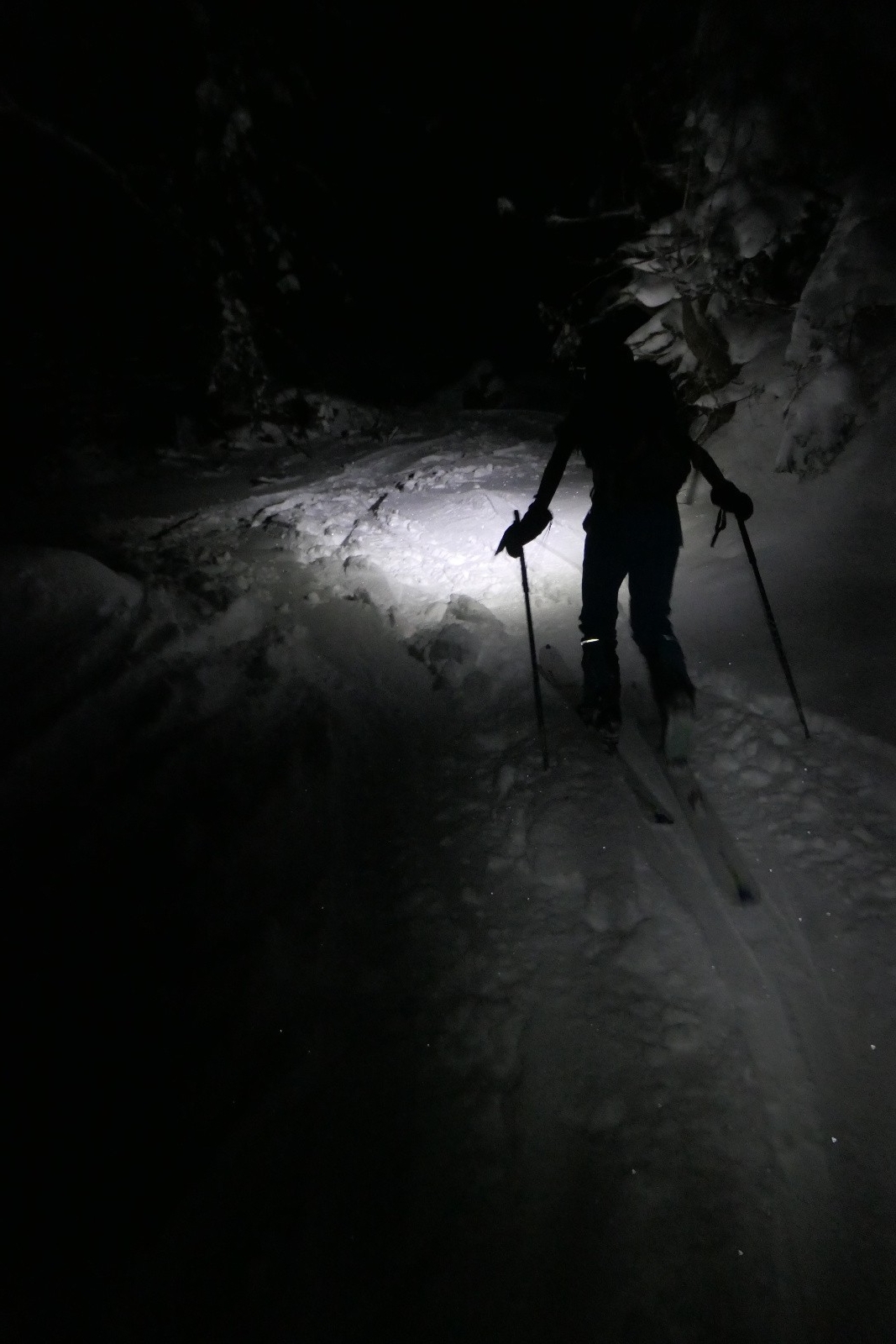 glad' fonce dans la nuit&nbsp; 