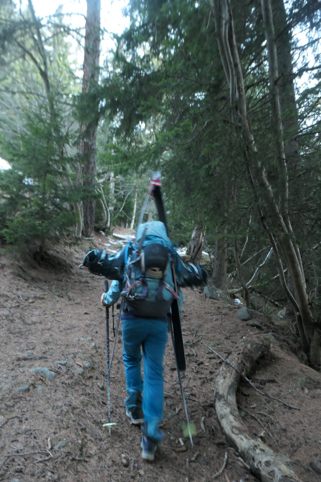 Un peu de portage non prévu 