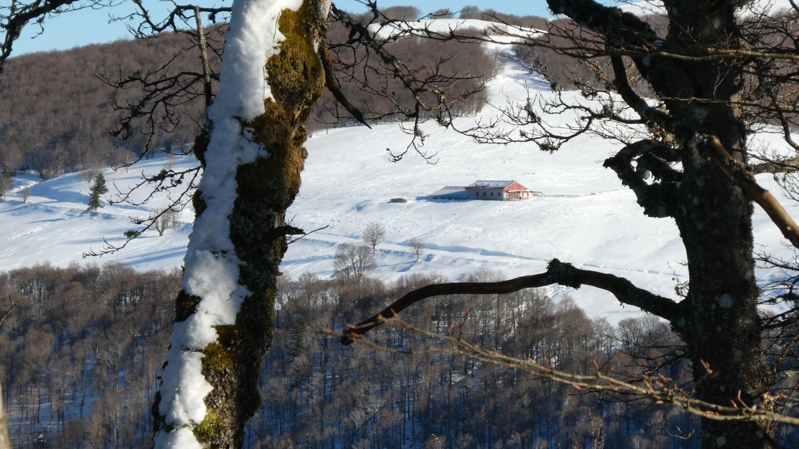  Ferme du Firstmies