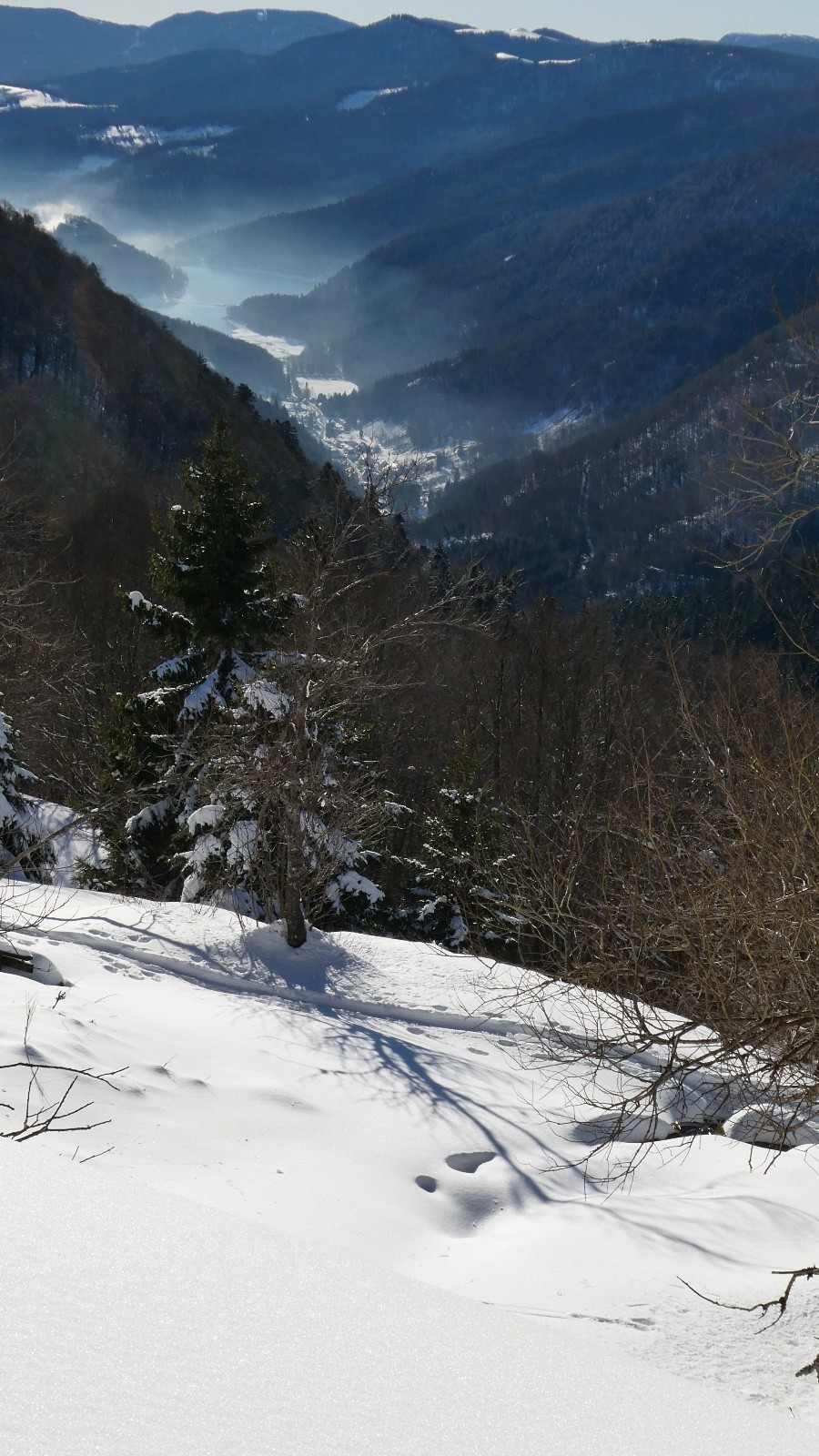 Au 1er plan : Source de la ThurEn arrière plan : vallée de la Thur