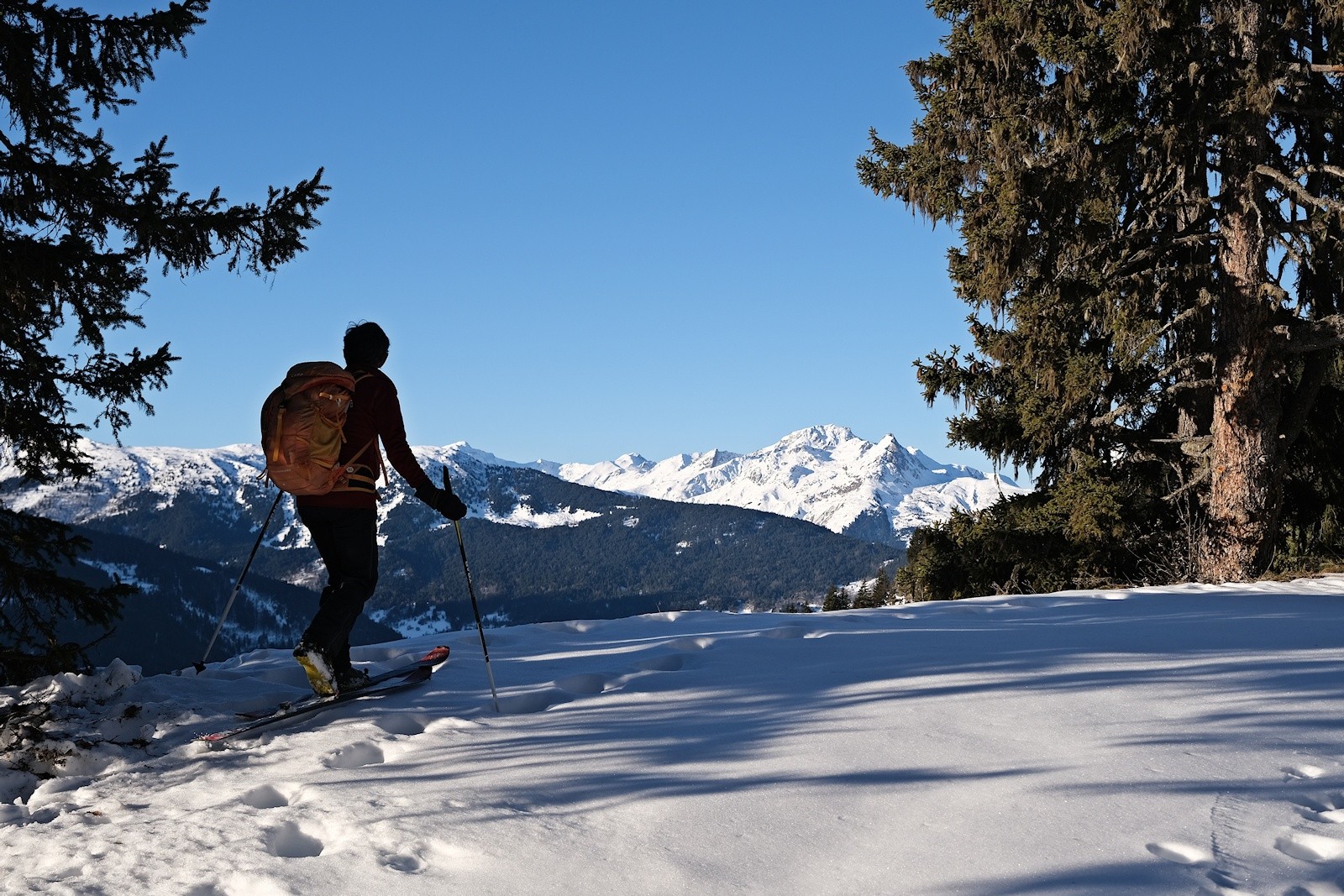 Nous nous élevons dans le Bois des Roches. 