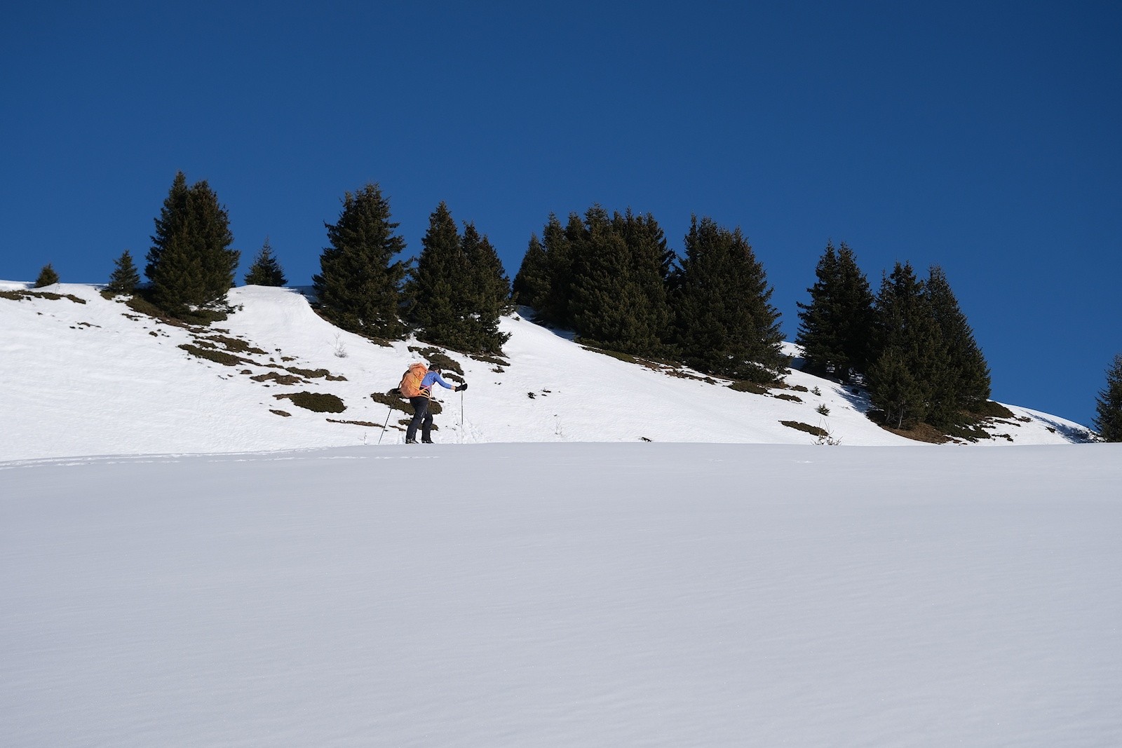 Dans une ambiance quasi-printanière, nous gagnons ainsi les premières clairières donnant accès au secteur du Mont Challier. 