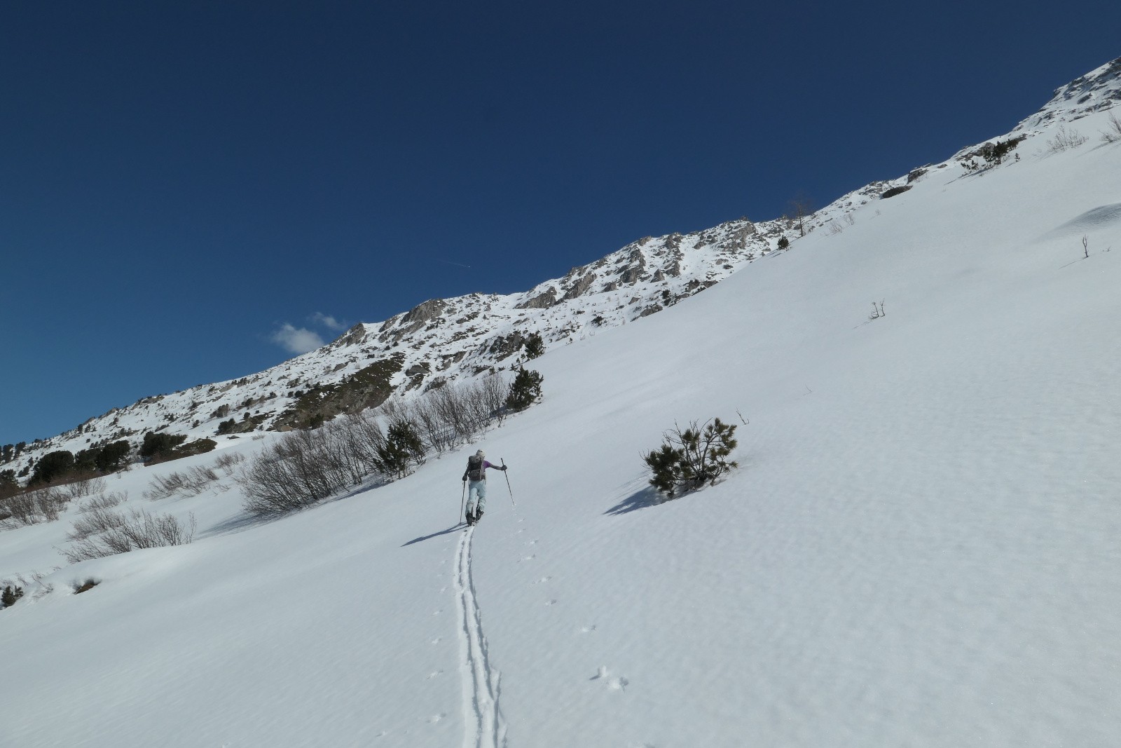 #23 Glad Glad' trace