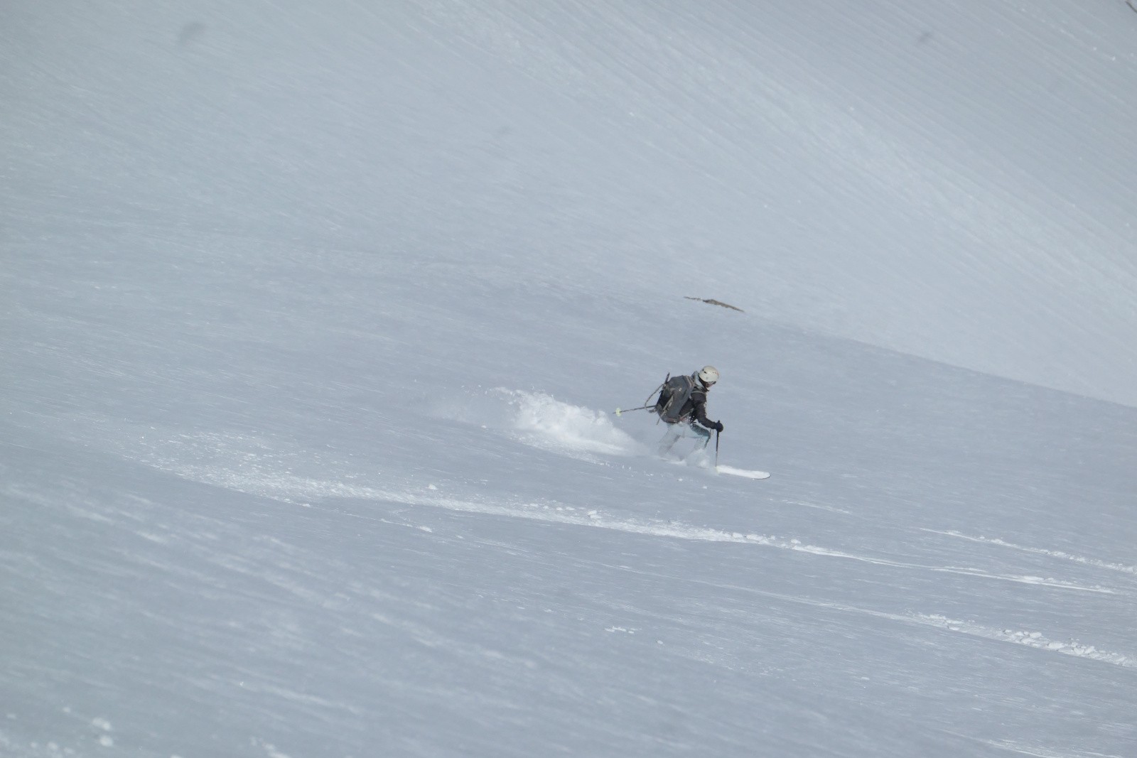 #16 Attends moi ! Attends moi !