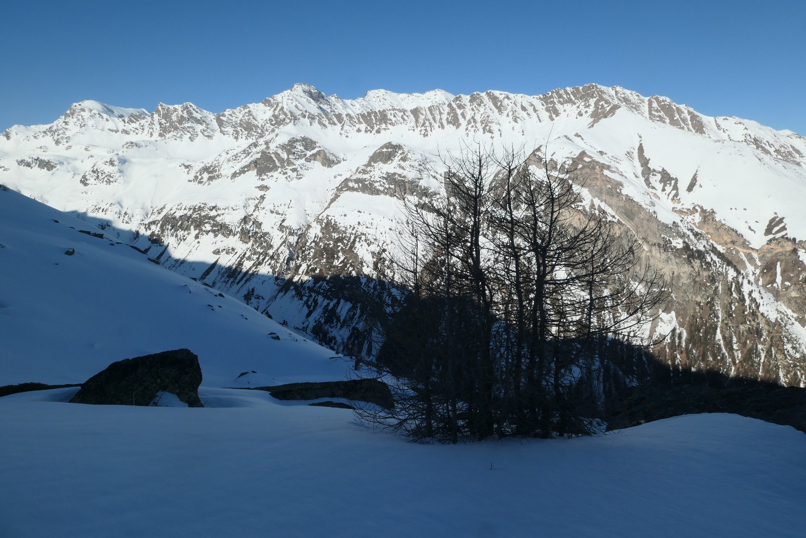 #4 En face ça à l En face ça à l'air sympa aussi