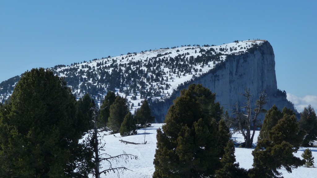 Rochers de Plautret : Une pente boisée