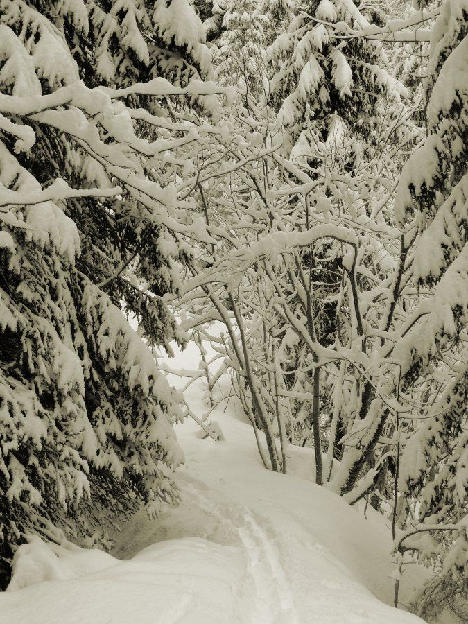 La féérie de la neige fraîche : à Souvroz d'en Bas