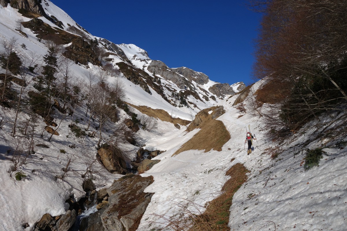 Sortie de la forêt après un rustique portage. On va enfin pouvoir chausser les skis