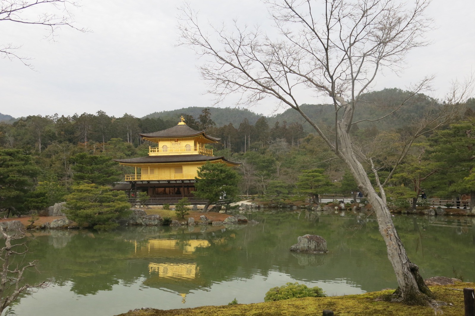 Le temple d'or à Kyoto