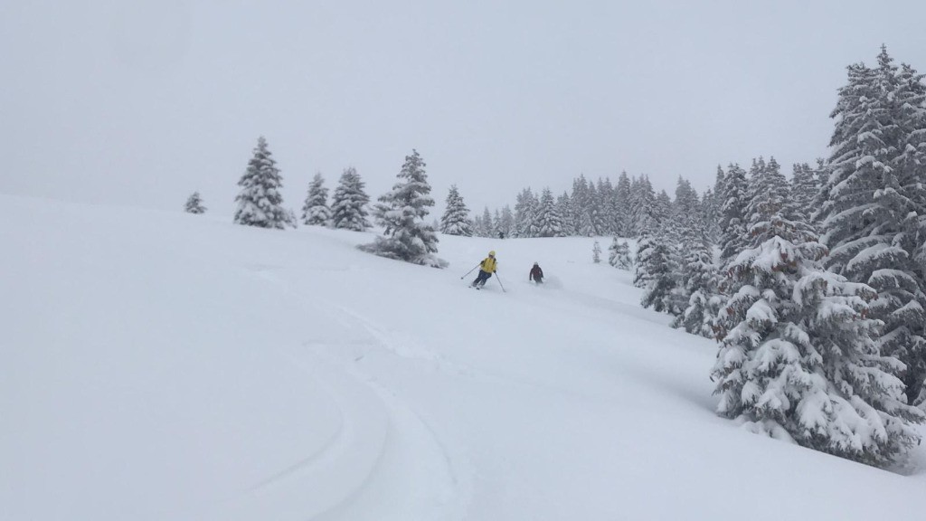 Descente de l'Eperon en bonne poudre