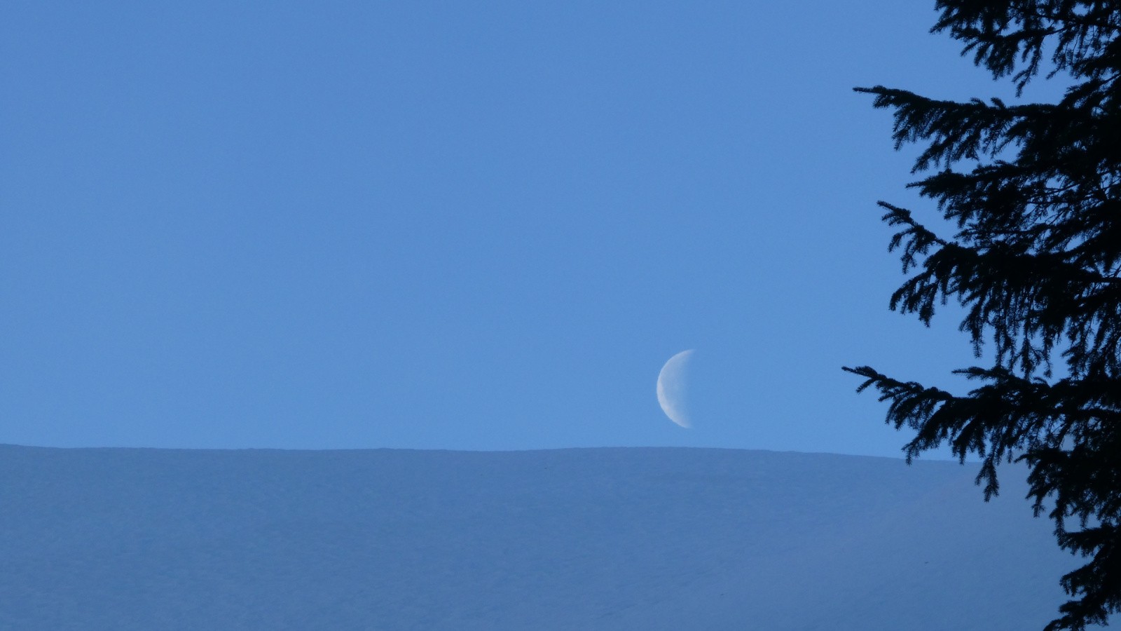 Au Grand Manti, la neige dépasse les bornes ! - un croissant vogue dans l'azur 