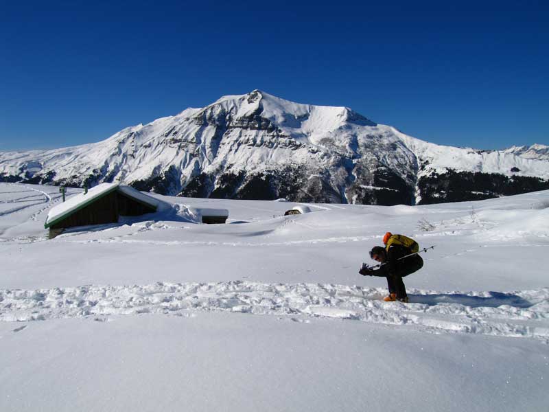 Chalets du Truc : K.L. au plateau du Truc !?