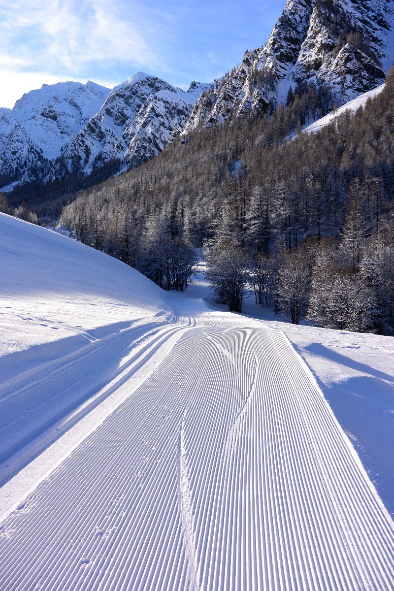 Échauffement sur les pistes de ski de fond.