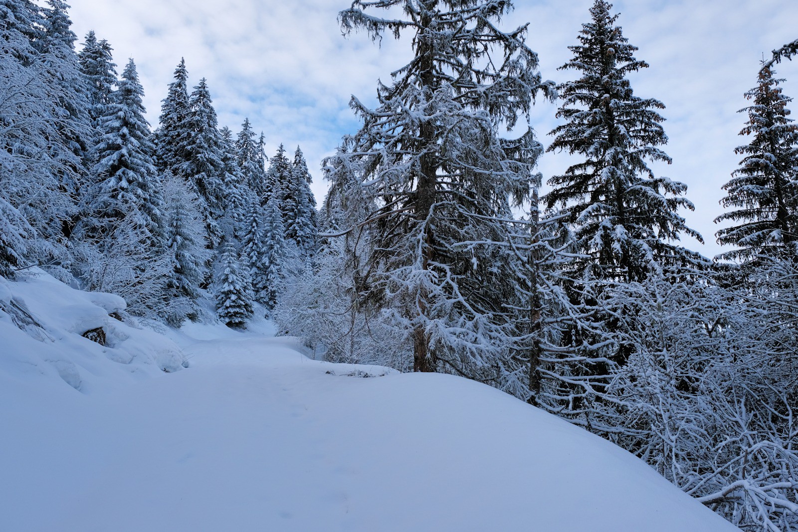 Route d'accès à la Tuile : ambiance hivernale.