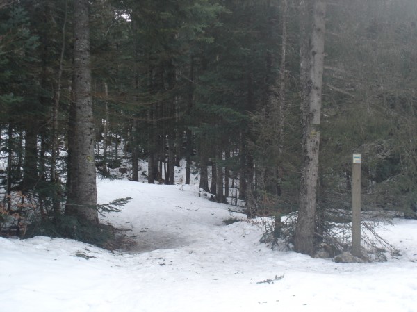 Bifurcation : Quitter la piste de ski de fond en prenant ce chemin à gauche
