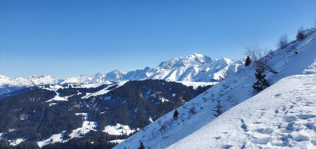 Le Mt Blanc et ses acolytes