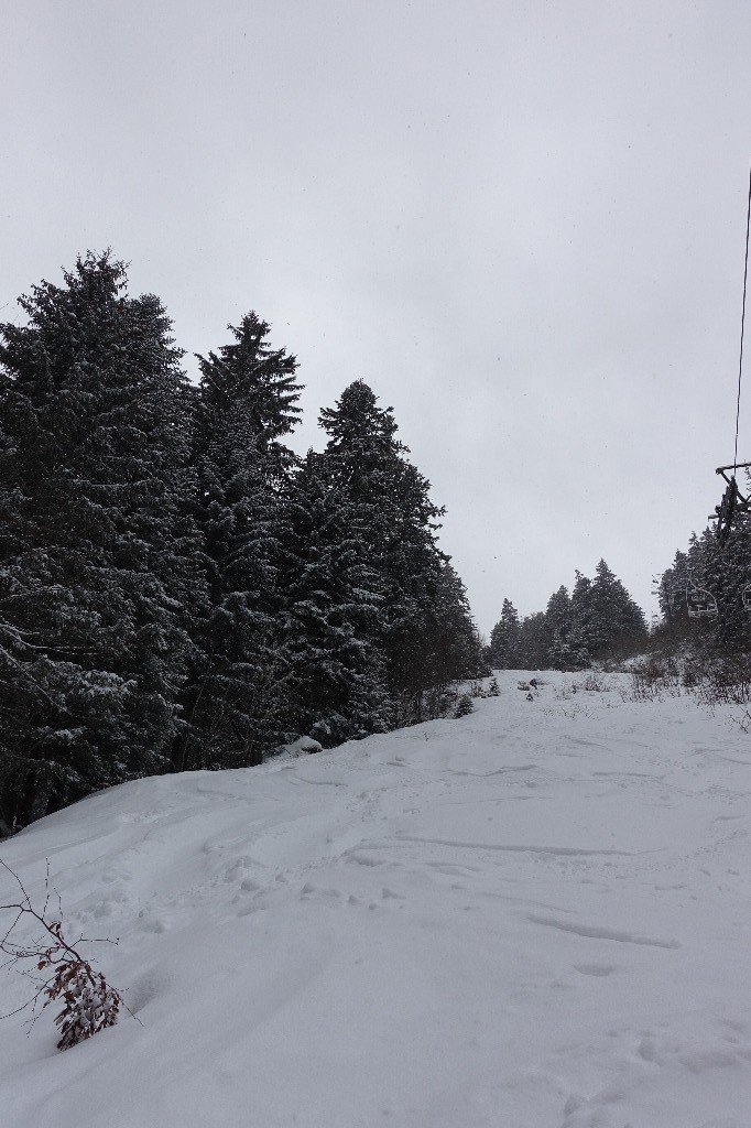 Ancienne piste de ski