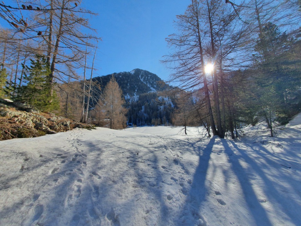 #1 En sortant de la foret En sortant de la foret