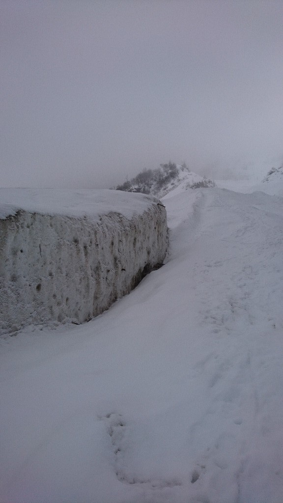 Avalanche monstrueuse descendue cette année, sous forme d'aérosol mixte neige lourde, mélèzes couchés jusqu'au domaine de fond et 100 au-dessus du vallon.