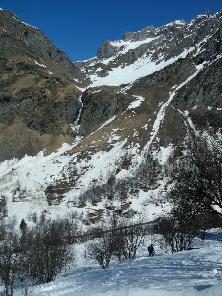 Ski forêt