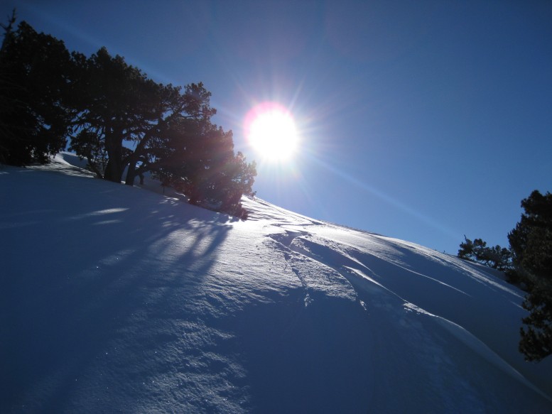 Combe du Prayet : Poudre sur soleil.. ben voui..