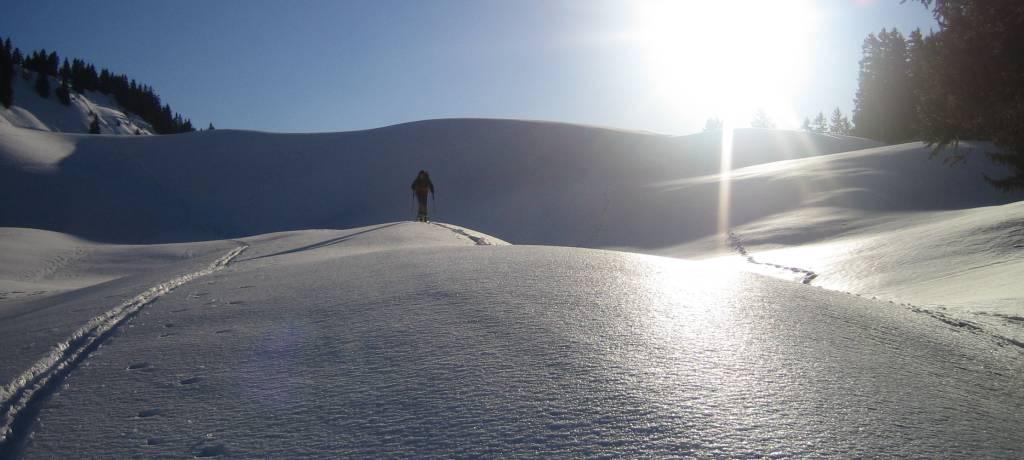 Contre jour : Nos ombres sur la neige, vers le Haut du Prè