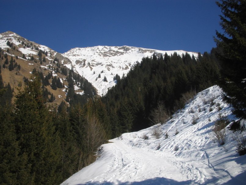 face sud-ouest : la face vue depuis le chemin de montée