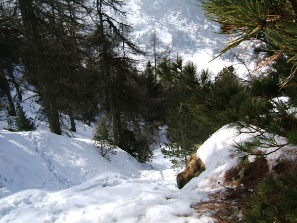 Cime du Diable : Ne jamais descendre dans ce canal, l'enfer malgré une bonne poudre.