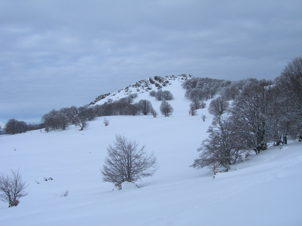 Castagniccia hivernale : Paysage de moyenne montagne