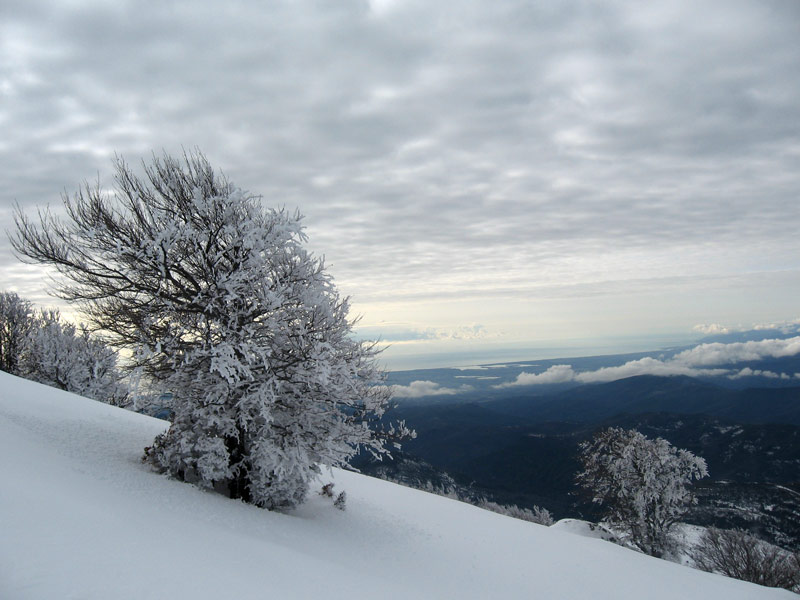Punta Ventosa : Contraste entre la Castagniccia hivernale et l'étang d'Urbino