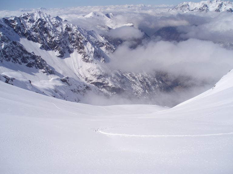 Collerons : Ici on peut venir en meute, il y a de la place !