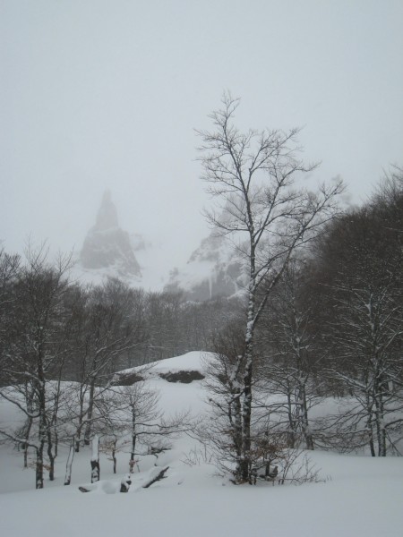 Le Moine : En remontant vers la cascade de l'Aigle.