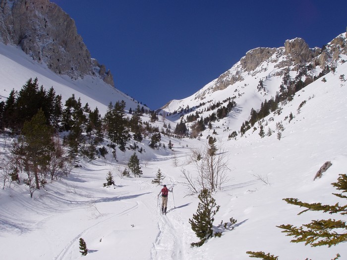 Sous le pas des Bachassons : Attention: grosses purges sous le Petit Veymont