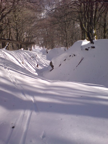 montée 3 : En route vers le Puy de Cacadogne